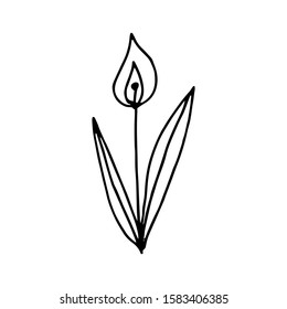 Hand drawn creative flower.  White background. Ink doodle illustration. Hand-drawn vintage, minimalistic black flower. Beautiful vector illustration.