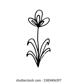Hand drawn creative flower.  White background. Ink doodle illustration. Hand-drawn vintage, minimalistic black flower. Beautiful vector illustration.