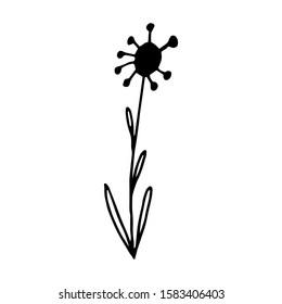Hand drawn creative flower.  White background. Ink doodle illustration. Hand-drawn vintage, minimalistic black flower. Beautiful vector illustration.