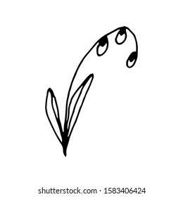 Hand drawn creative flower.  White background. Ink doodle illustration. Hand-drawn vintage, minimalistic black flower. Beautiful vector illustration.