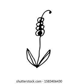 Hand drawn creative flower.  White background. Ink doodle illustration. Hand-drawn vintage, minimalistic black flower. Beautiful vector illustration.