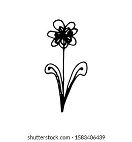 Hand drawn creative flower.  White background. Ink doodle illustration. Hand-drawn vintage, minimalistic black flower. Beautiful vector illustration.