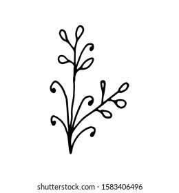 Hand drawn creative flower.  White background. Ink doodle illustration. Hand-drawn vintage, minimalistic black flower. Beautiful vector illustration.