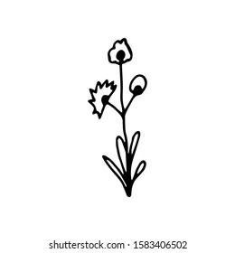 Hand drawn creative flower.  White background. Ink doodle illustration. Hand-drawn vintage, minimalistic black flower. Beautiful vector illustration.