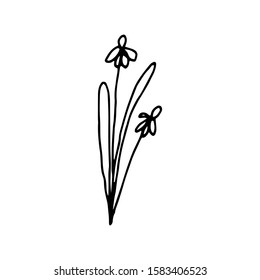Hand drawn creative flower.  White background. Ink doodle illustration. Hand-drawn vintage, minimalistic black flower. Beautiful vector illustration.