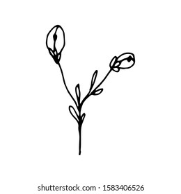 Hand drawn creative flower.  White background. Ink doodle illustration. Hand-drawn vintage, minimalistic black flower. Beautiful vector illustration.