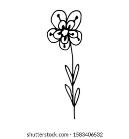 Hand drawn creative flower.  White background. Ink doodle illustration. Hand-drawn vintage, minimalistic black flower. Beautiful vector illustration.