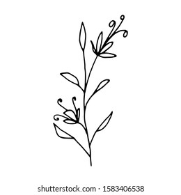 Hand drawn creative flower.  White background. Ink doodle illustration. Hand-drawn vintage, minimalistic black flower. Beautiful vector illustration.