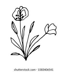 Hand drawn creative flower.  White background. Ink doodle illustration. Hand-drawn vintage, minimalistic black flower. Beautiful vector illustration.