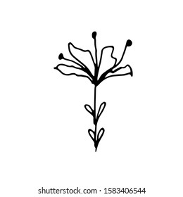 Hand drawn creative flower.  White background. Ink doodle illustration. Hand-drawn vintage, minimalistic black flower. Beautiful vector illustration.