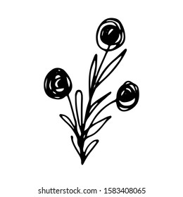 Hand drawn creative flower.  White background. Ink doodle illustration. Hand-drawn vintage, minimalistic black flower. Beautiful vector illustration.