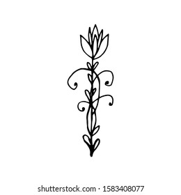 Hand drawn creative flower.  White background. Ink doodle illustration. Hand-drawn vintage, minimalistic black flower. Beautiful vector illustration.