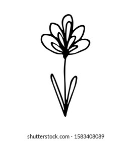 Hand drawn creative flower.  White background. Ink doodle illustration. Hand-drawn vintage, minimalistic black flower. Beautiful vector illustration.