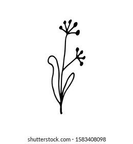 Hand drawn creative flower.  White background. Ink doodle illustration. Hand-drawn vintage, minimalistic black flower. Beautiful vector illustration.
