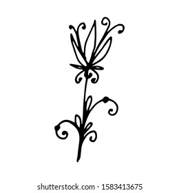Hand drawn creative flower.  White background. Ink doodle illustration. Hand-drawn vintage, minimalistic black flower. Beautiful vector illustration.
