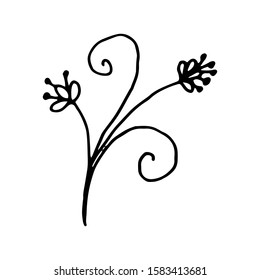 Hand drawn creative flower.  White background. Ink doodle illustration. Hand-drawn vintage, minimalistic black flower. Beautiful vector illustration.