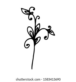 Hand drawn creative flower.  White background. Ink doodle illustration. Hand-drawn vintage, minimalistic black flower. Beautiful vector illustration.