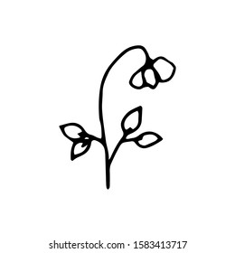 Hand drawn creative flower.  White background. Ink doodle illustration. Hand-drawn vintage, minimalistic black flower. Beautiful vector illustration.
