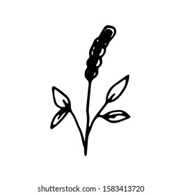Hand drawn creative flower.  White background. Ink doodle illustration. Hand-drawn vintage, minimalistic black flower. Beautiful vector illustration.