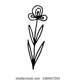 Hand drawn creative flower.  White background. Ink doodle illustration. Hand-drawn vintage, minimalistic black flower. Beautiful vector illustration.