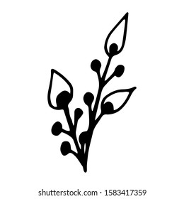 Hand drawn creative flower.  White background. Ink doodle illustration. Hand-drawn vintage, minimalistic black flower. Beautiful vector illustration.