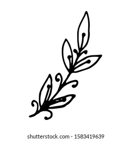 Hand drawn creative flower.  White background. Ink doodle illustration. Hand-drawn vintage, minimalistic black flower. Beautiful vector illustration.