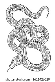 Hand drawn creative snake vector artistic illustration.