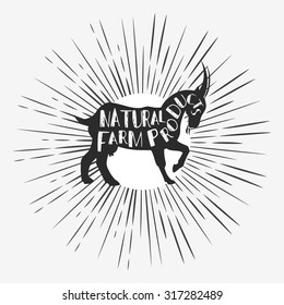 Hand drawn creative typographic poster with Goat. Natural farm products. Starburst with ray. Grunge texture. T-shirt design, label, decor elements, greeting and postal cards. Vector eco illustration