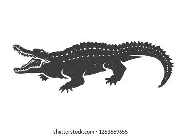 Hand Drawn Crocodile  Isolated On White.Vector Illustration.