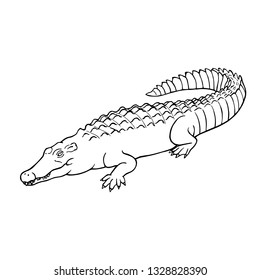 Hand drawn crocodile. Linear style. Can be used as a coloring book. Vector illustration. Line drawing