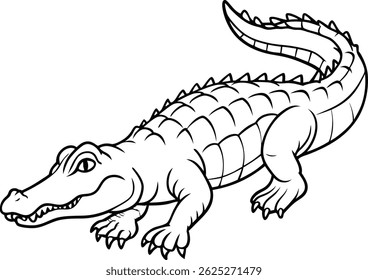 hand drawn crocodile outline illustration