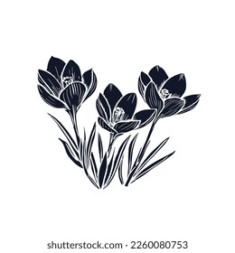 Hand drawn crocus flowers. Elegant vintage card. Black silhouette on white background. Vector illustration.