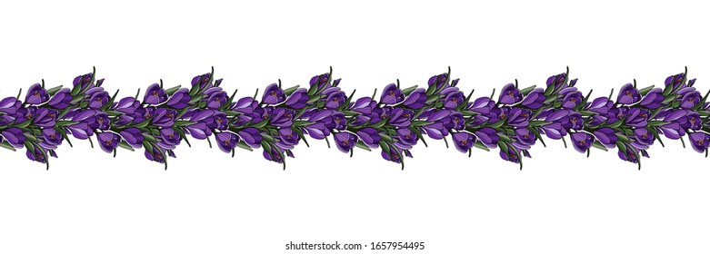 Hand drawn crocus flowers for greeting cards, invitations, textile, easter sets. Horizontal border with springtime flower.