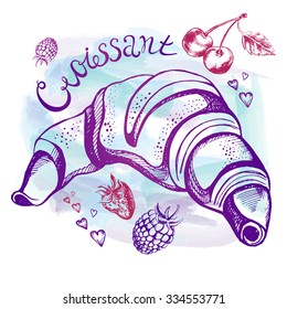 Hand drawn croissant and berries. Vector Illustration. 