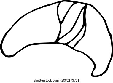 Hand drawn Croissant vector on a white background