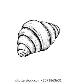 Hand drawn croissant vintage illustration. Engraving style black and white on white backgrounds. Vector