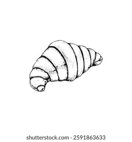 Hand drawn croissant vintage illustration. Engraving style black and white on white backgrounds. Vector