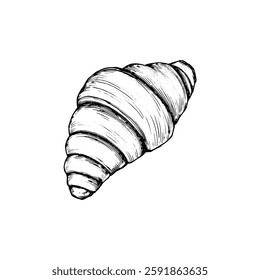 Hand drawn croissant vintage illustration. Engraving style black and white on white backgrounds. Vector
