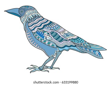 Hand drawn crow raven, colorful doodle art in zentangle style. Stylized bird for tattoo, t-shirt, poster, invitation card, textile or paper print. Isolated design element, ethnic totem.