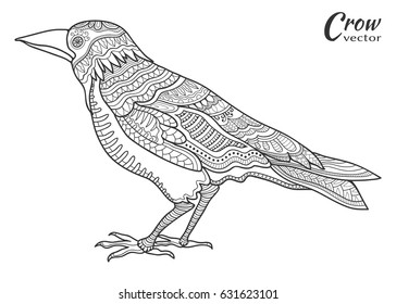 Hand drawn crow raven. Doodle sketch bird in zentangle style for coloring book page. Animal collection for tattoo, t-shirt, poster, invitation card, textile, paper print. Isolated element ethnic totem