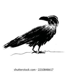 Hand Drawn Crow Sketch Vector