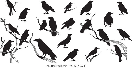 Hand drawn Crows silhouette set, Terrifying Halloween silhouette, Raven silhouette, Crow silhouette, Crows, raven Halloween Dark birds icon clipart.