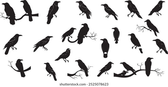 Hand drawn Crows silhouette set, Terrifying Halloween silhouette, Raven silhouette, Crow silhouette, Crows, raven Halloween Dark birds icon clipart.