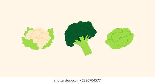 Hand Drawn Cruciferous Vegetables Set. Cauliflower, Broccoli and Cabbage Vector Illustration