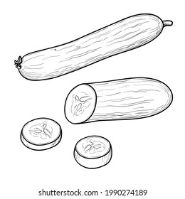 Hand Drawn Cucumber. Black and white. Vector illustration.