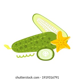 Hand drawn cucumber. Flat modern illustration. Vector design.