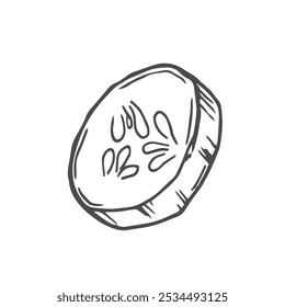 Hand drawn Cucumber Slices Sketch Illustration