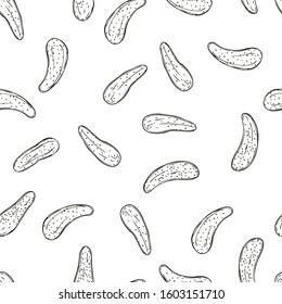 Hand drawn cucumbers gherkins. Vector  seamless pattern