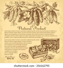 Hand drawn cucumbers with space for your text