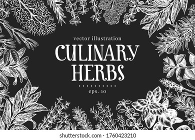 Hand drawn culinary herbs design template. Vector illustrations on chalk board. Vintage food background